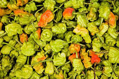 任天堂要求推特用户删除25年前发行的一本攻略书